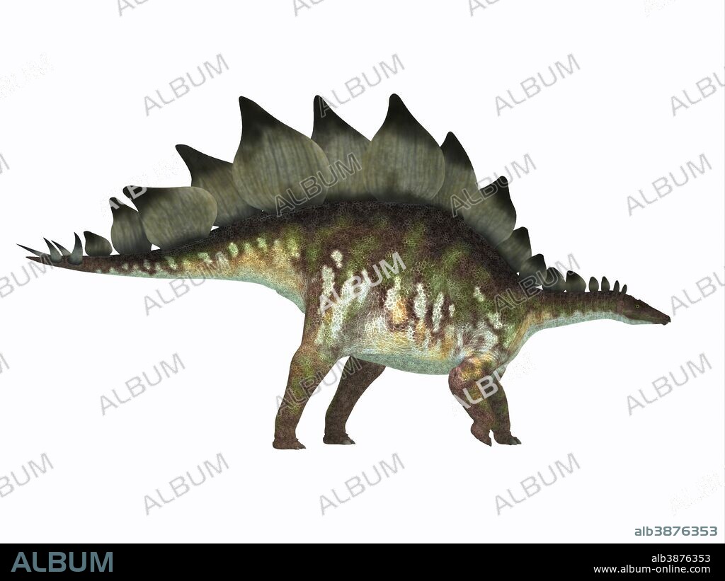 Side profile of a Stegosaurus dinosaur. Stegosaurus was an armored herbivorous dinosaur that lived in North America during the Jurassic Period.