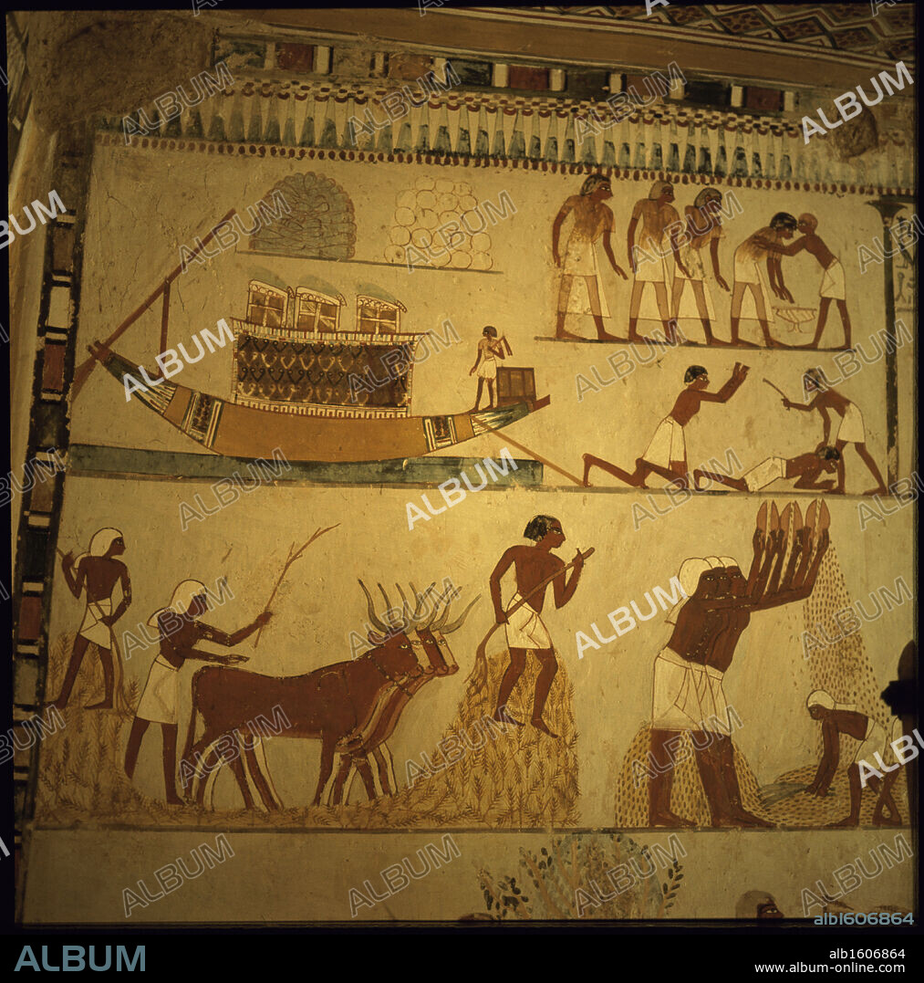 Menena Tomb: Harvesting Scene #1  Egyptian Art  Fresco   Valley of the Kings, Egypt.