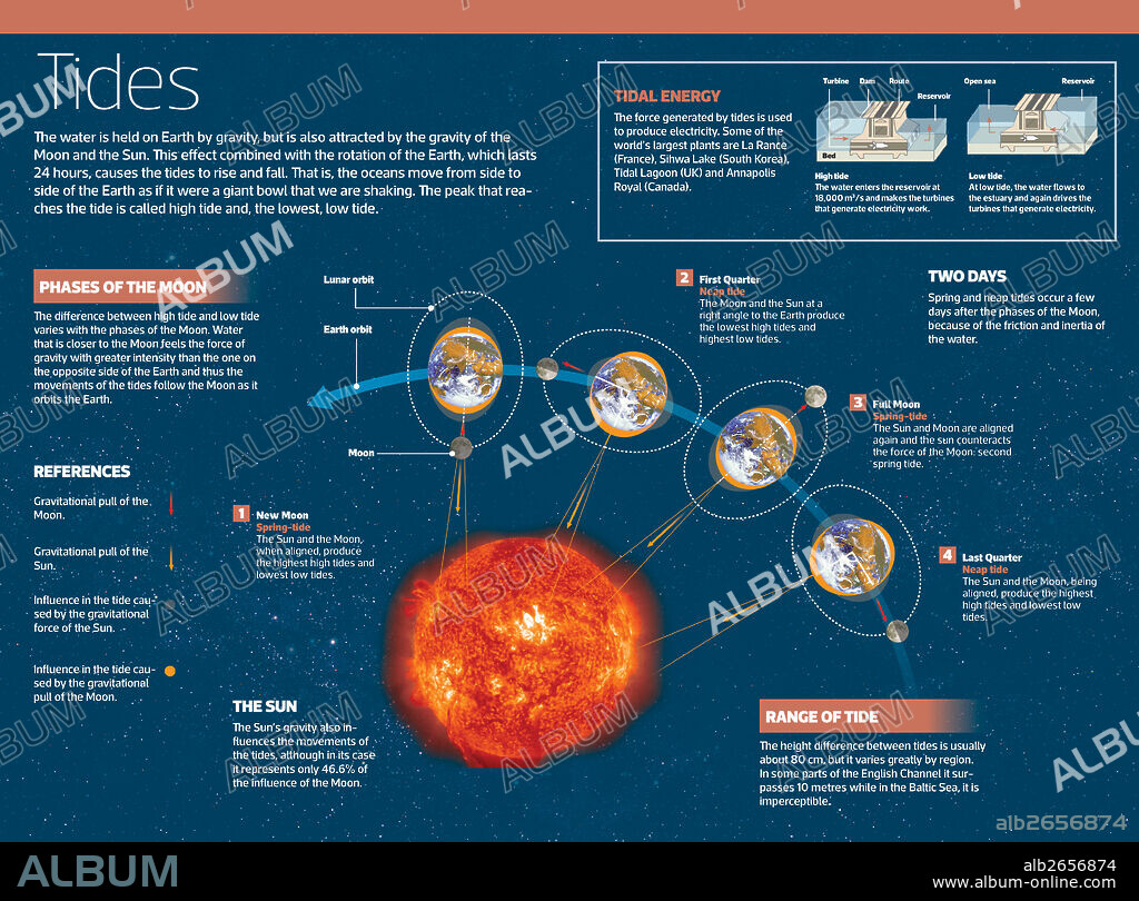 Tides. Infographic on tides, i.e. the periodic and alternative rise and fall movements of sea water, produced by the attraction of the Sun and Moon.