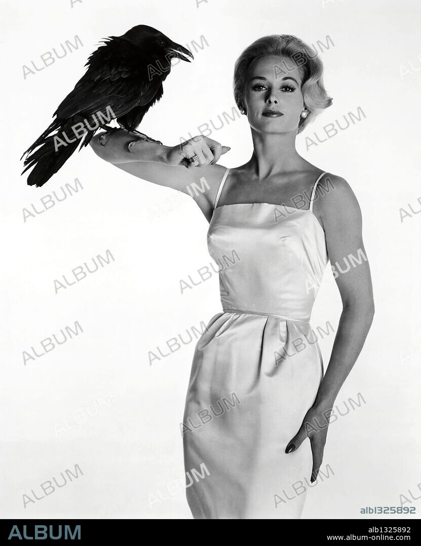 Match Made in Heaven, The Birds, store Tippi Hedren, Crows, Hollywood, Hitchcock, Print on Canvas