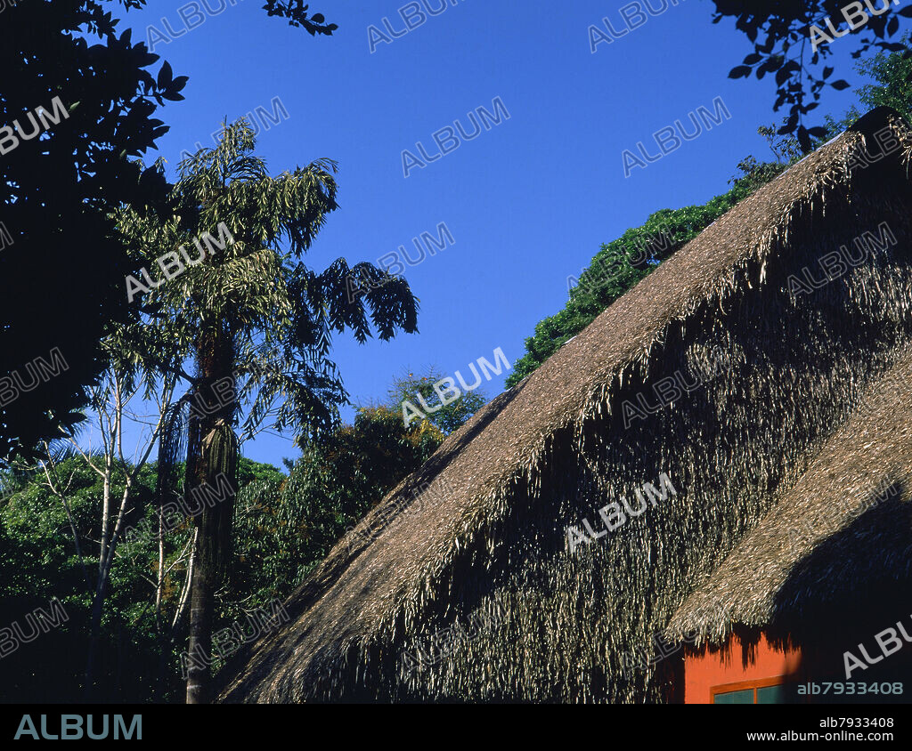 PARQUE - TECHUMBRE DE PAJA - FOTO AÑOS 90 - Album alb7933408