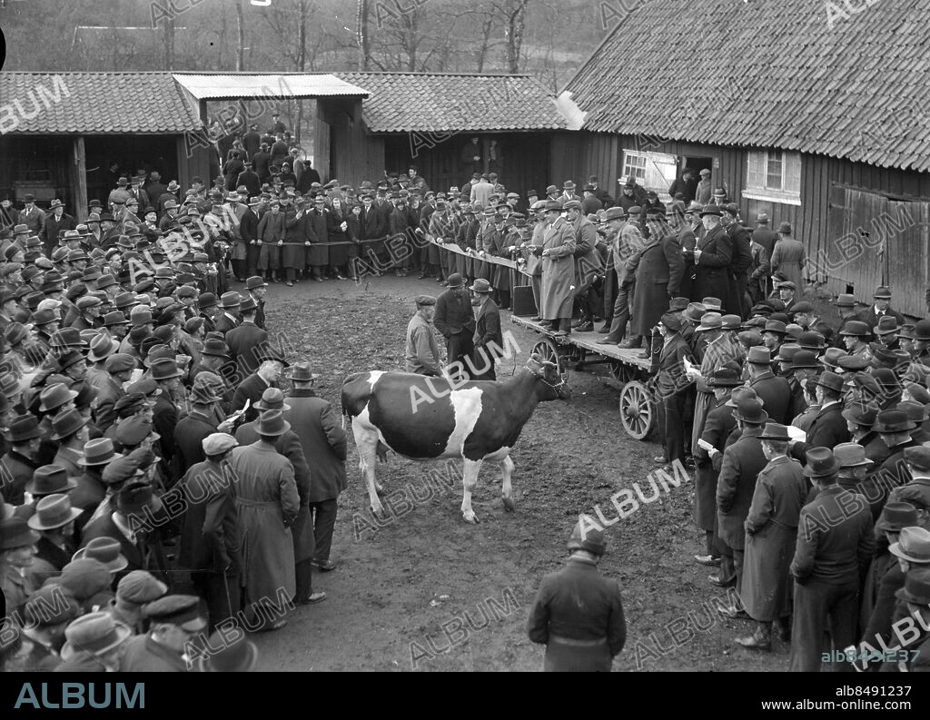 Göteborg 1939-03-07 - Bondauktion - auktion på landet - *** Local ...