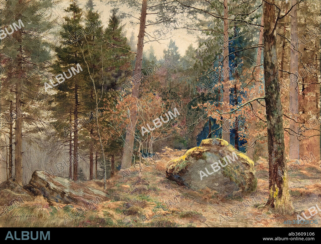 In a Welsh Pine Wood. Artist: James Thomas Watts (British, Birmingham 1850-1930 Liverpool). Dimensions: 9 7/8 x 13 3/4 in. (25.1 x 34.9 cm). Date: ca. 1891.
Based in Liverpool, Watts specialized in painting woodland landscapes at different seasons, using oils or watercolors. He may have shown work at London's Royal Academy in 1891. Dappled touches of watercolor are applied to describe strongly lit trees, autumn leaves, and moss-covered rocks. The vibrant washes appear unmuted by blotting, as brilliant hues are cleanly juxtaposed - as in the blue and yellow strokes that from the mossy rock - in a technique that is both painterly and sharply realistic.