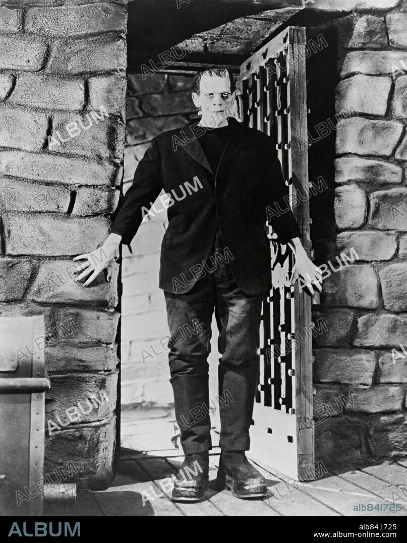 BORIS KARLOFF in FRANKENSTEIN: FRANKENSTEIN, 1931 (FRANKENSTEIN), directed by JAMES WHALE. Copyright UNIVERSAL PICTURES.