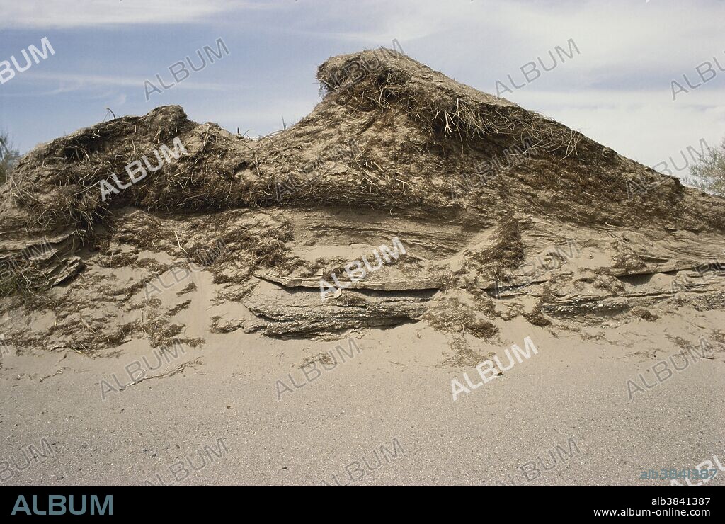 Cross-section of a sand dune showing its structure in the Qaidam Basin, Qinghai Province, China.