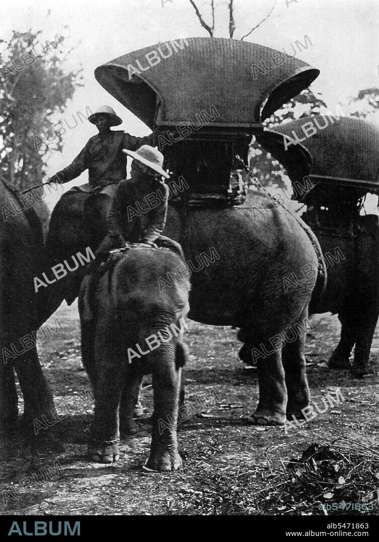 Elephants are saddled with howdahs in preparation for a trip, Siam,  late-19th century. - Album alb5471863