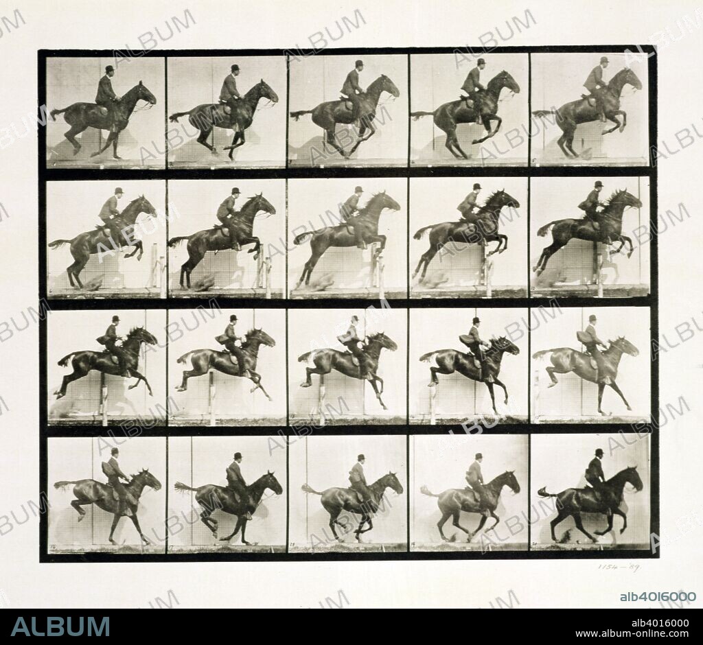 Man and horse jumping a fence, 1887 Artist: Eadweard J Muybridge