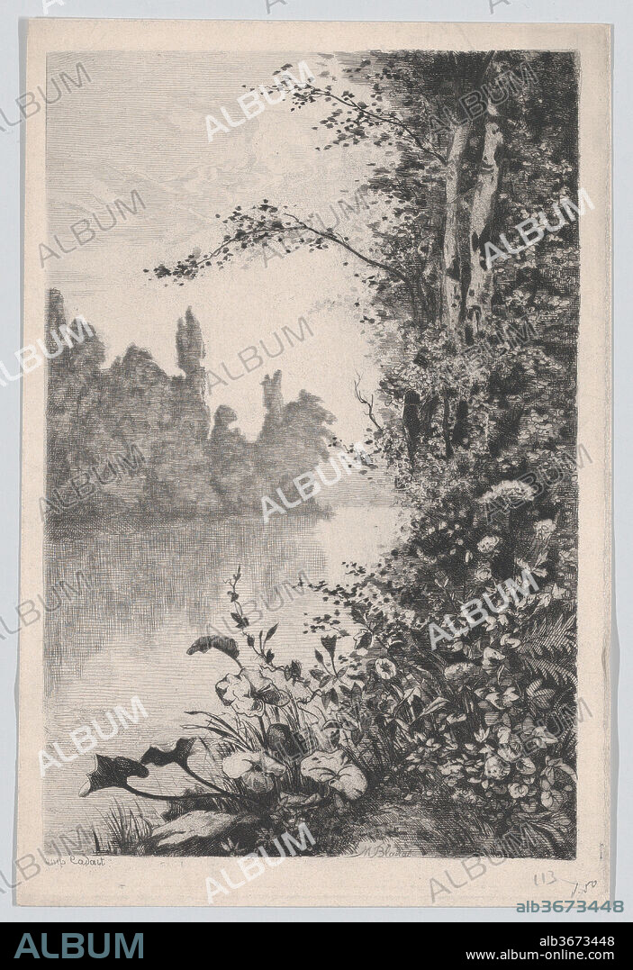 View of Flowers and Trees along a River Bank. Artist: Marcel Blairat (French, Roquemaure 1849-1891 Paris). Dimensions: Sheet (trimmed): 9 11/16 × 6 1/2 in. (24.6 × 16.5 cm). Printer: Alfred Cadart (French, 1825-1875). Date: 1870-91.