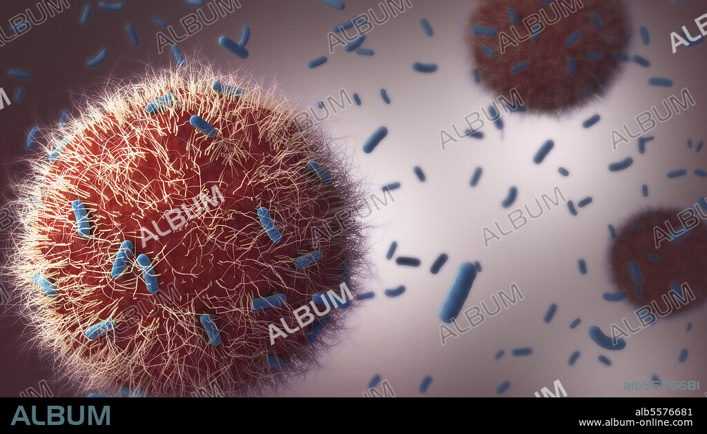 Immune cells attacking tuberculosis bacteria.