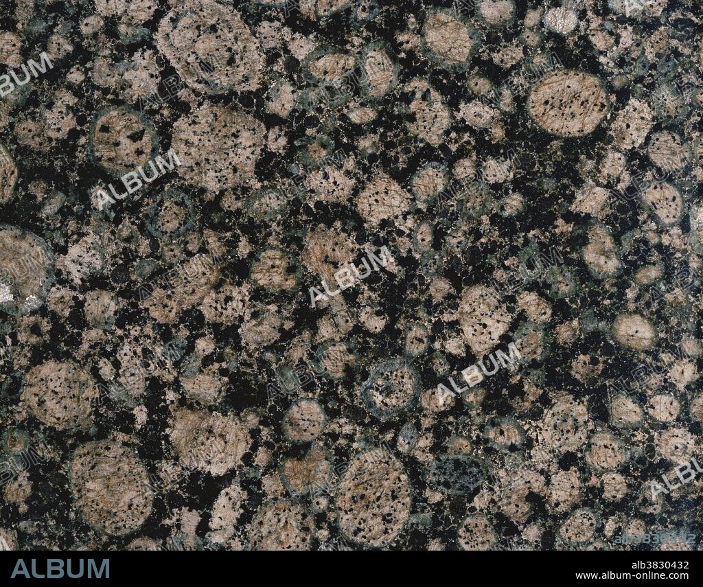 Close-up of orbicular granite.  As the granite was cooling, feldspar crystallized in layers around seed crystals, resulting in these spheroidal orbicules.