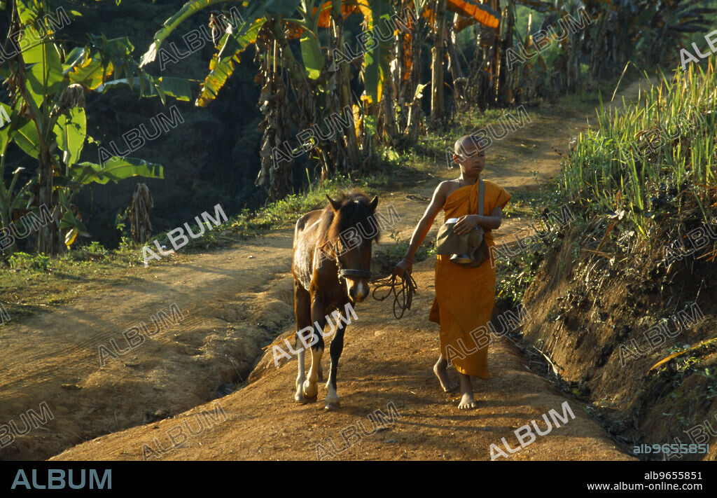 Thailand, Wat Phra Acha Tong, Novice Buddhist monk from The Golden Horse Forest Monastery leading pony and carrying alms bowl, The novice monks ride out daily to preach and collect alms.