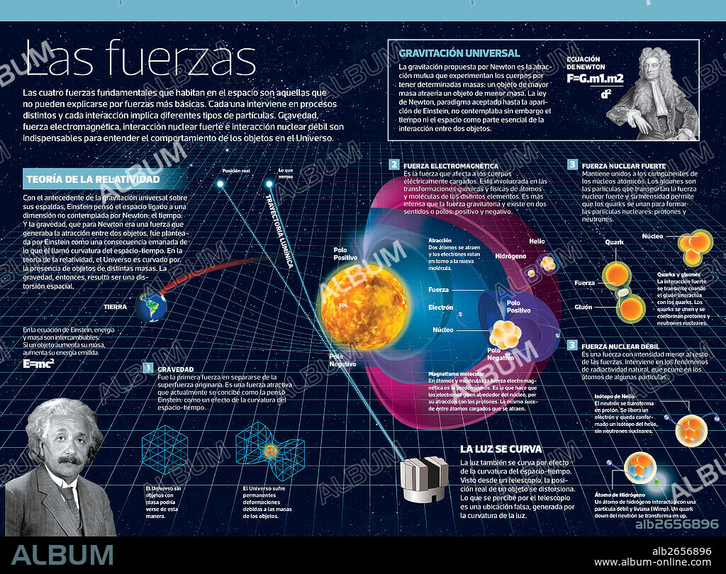 The forces. Infographic on the forces of the Universe: gravity, electromagnetic force, strong nuclear force and weak nuclear interaction. These are the four fundamental forces that inhabit the space.