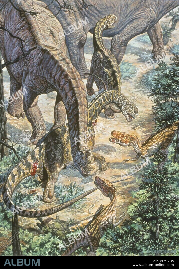 Jobaria (sauropods, left) and Afrovenator (raptors, right), Mid-Cretaceous of North Africa.