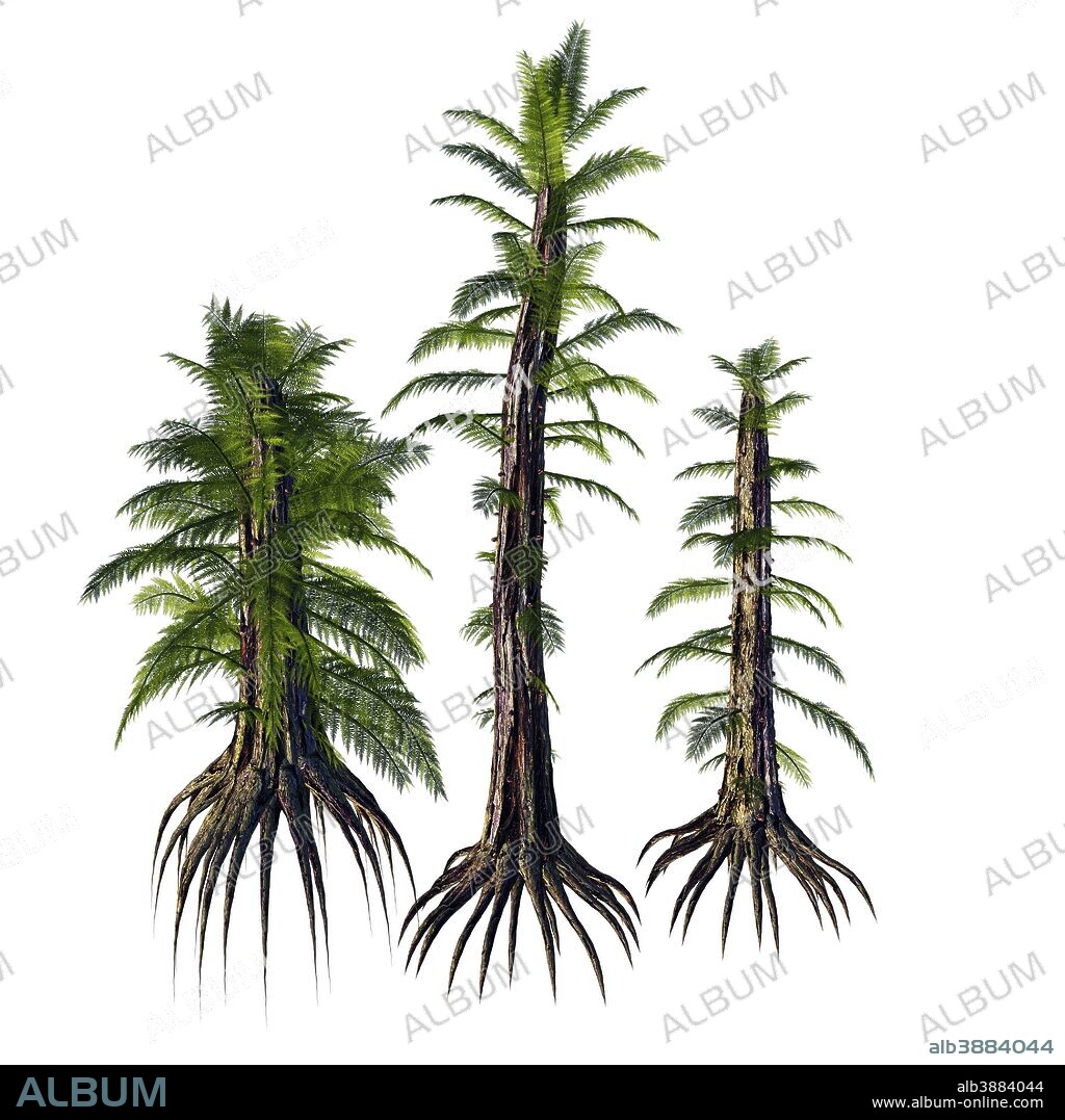 Tempskya is an extinct genus of tree-like fern that lived during the Cretaceous Period.