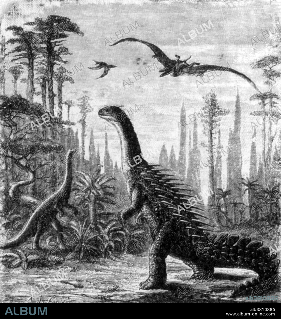 Dinosaurs of the Jurassic Period: Stegosaurus (right) with Compsognathus (left) and Pterodactyls flying. This inaccurate etching shows an early attempt by Othniel Charles Marsh to reconstruct a plated dinosaur from fossil evidence, with hedgehog spines instead of bony plates. Stegosaurus means "roof lizard" or "plated lizard". One of the various plated dinosaurs (Stegosauria) of the Late Jurassic Period (159 million to 144 million years ago) recognizable by its spiked tail and series of large triangular bony plates along the back. Stegosaurus usually grew to a length of about 21 feet, but some reached 30 feet. The skull and brain were very small for such a large animal. The forelimbs were much shorter than the hind limbs, which gave the back a characteristically arched appearance. The feet were short and broad. They are classified as a quadrupedal herbivorous ornithischian dinosaur. Compsognathus is a genus of small, bipedal, carnivorous theropod dinosaurs. Members of its single species Compsognathus longipes could grow to the size of a turkey. From Scientific American, November 29th, 1884.