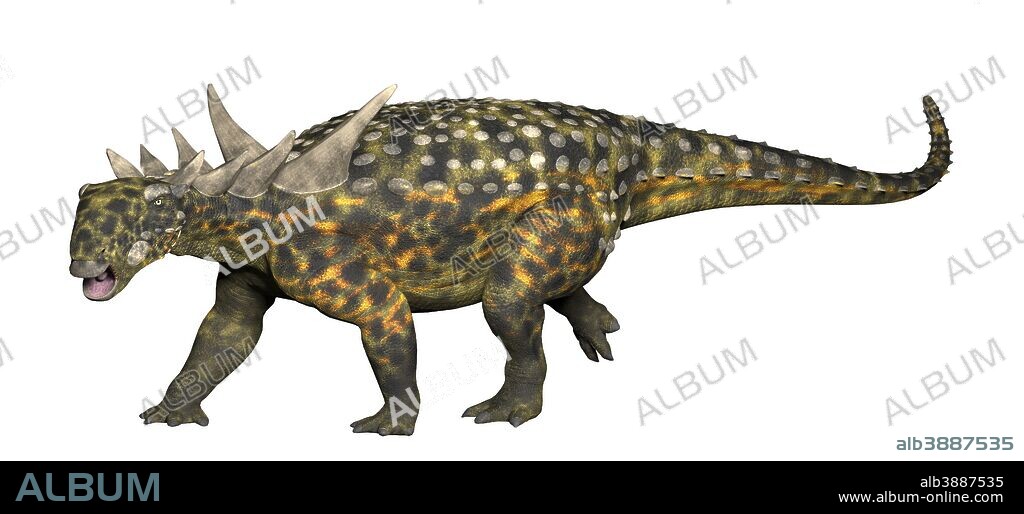 Sauropelta, an early nodosaurid ankylosaur. A nodosaurid and early relative of the much later Ankylosaurus. Sauropelta lived in Utah in the early Cretaceous about 108 million years ago and was about 16-17 feet long and a plant eater. They had the spikes and body armor typical of nodosaurids.