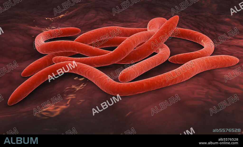 Conceptual image of fusobacteria.