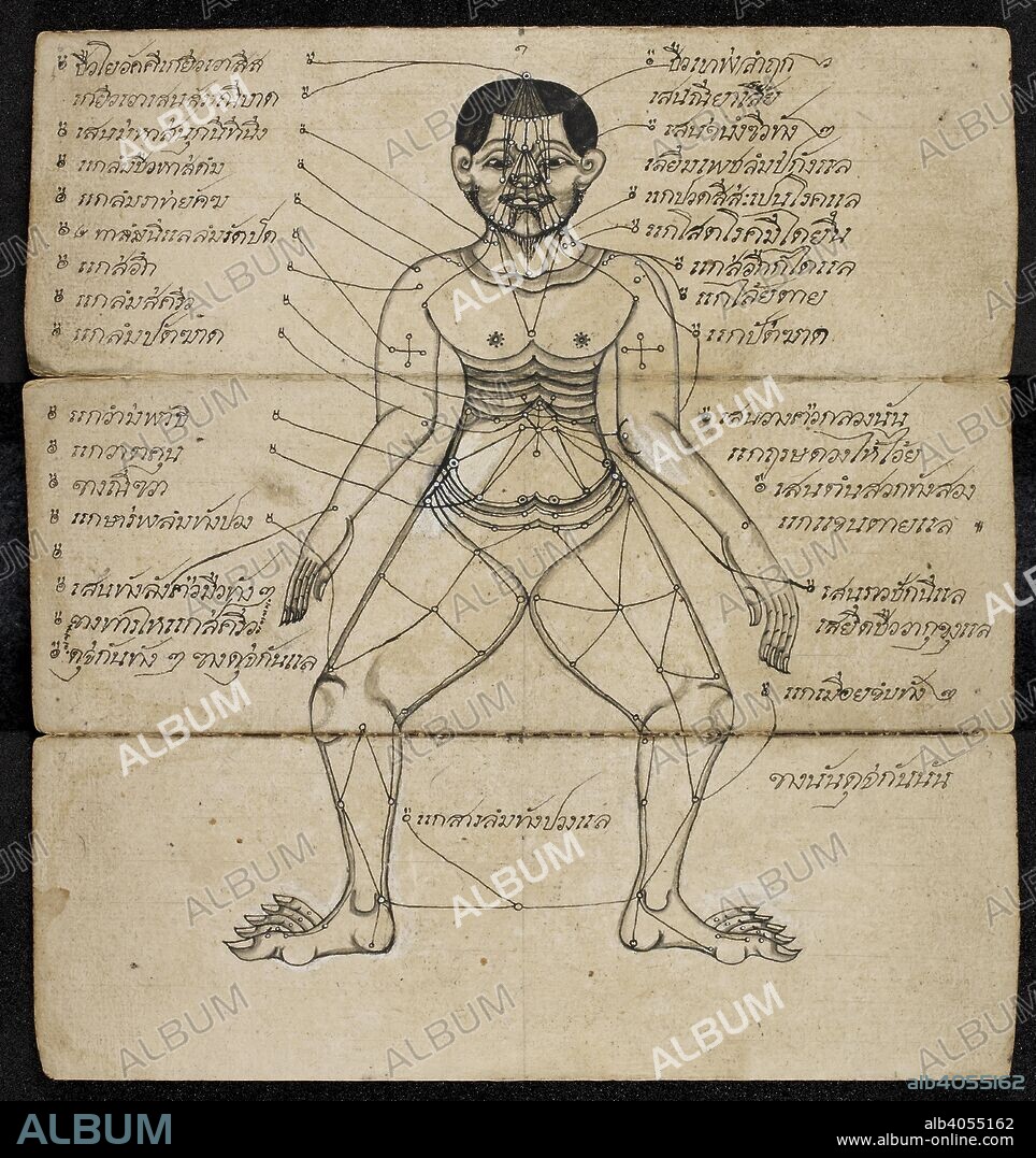 Thai medical diagram showing the pressure points on a Human body. Massage  treatise. Thailand, 1800 - 1850. Paper folding book (samut khoi).  Dimensions: 355 mm x 127 mm. Sc - Album alb4055162