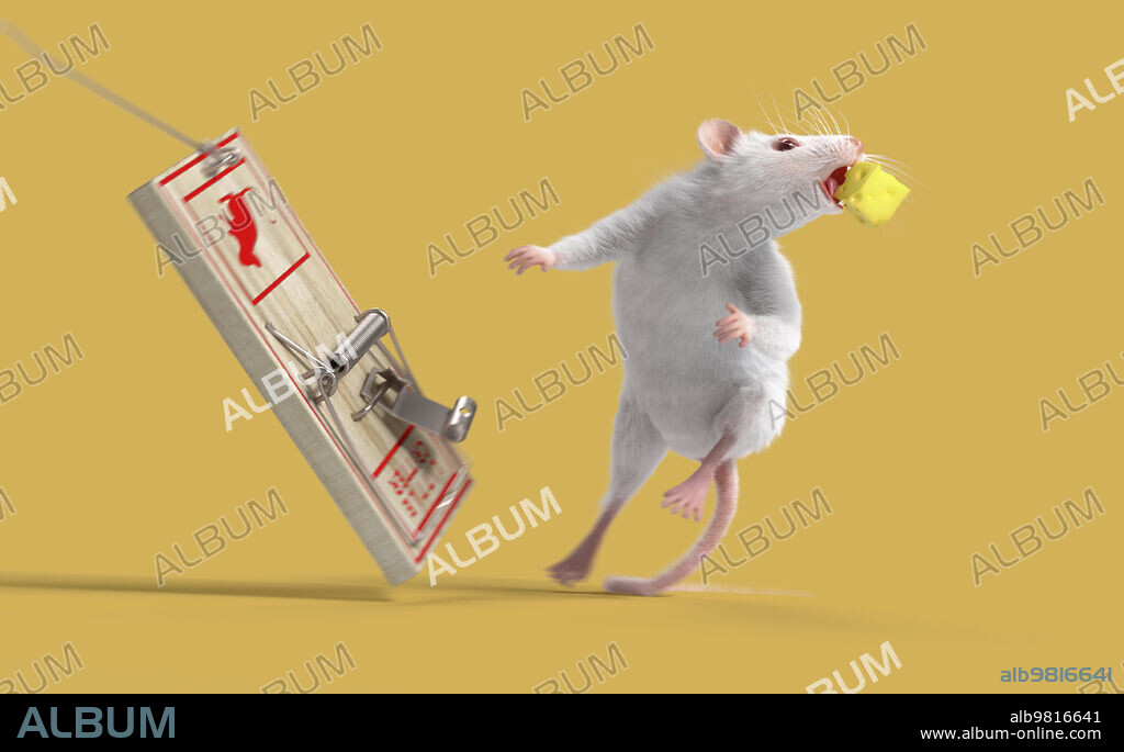 White deals mouse trap