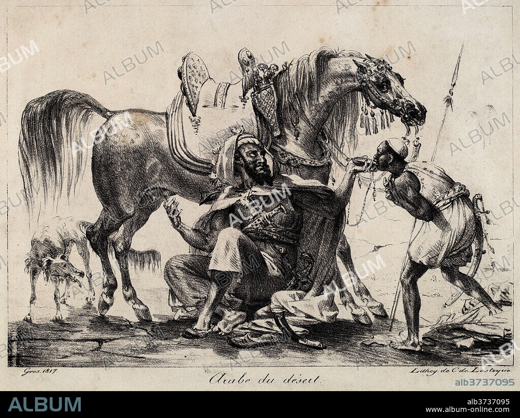 ANTOINE-JEAN GROS. Arabe du dŽsert (Desert Arab). Dated: 1817. Dimensions:  image: 18.8 x 26.4 cm (7 3/8 x 10 3/8 in.) sheet: 26.8 x 35.6 cm (10 9/16 x  14 in.). Medium: li - Album alb3737095