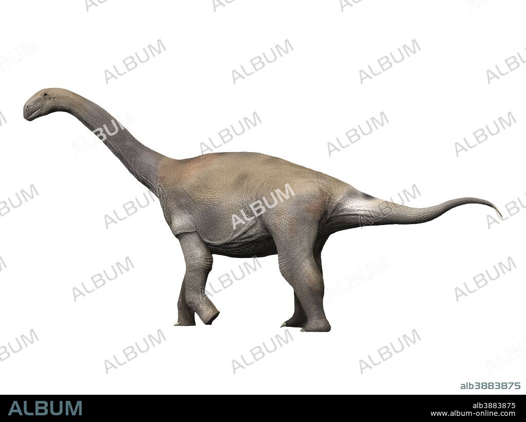 Zby atlanticus is a sauropod dinosaur from the Late Jurassic period.