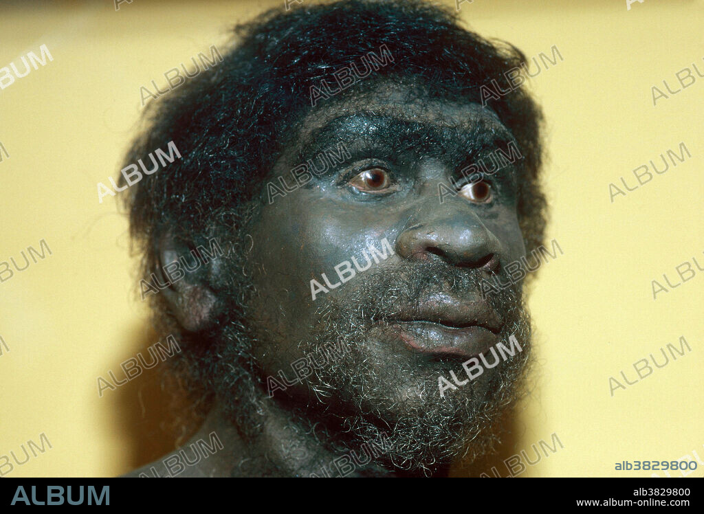 editorial use only . A model reconstruction of Rhodesian Man (Homo rhodesiensis), whose skull is known as Kabwe skull, Kabwe cranium, or Broken Hill 1. The skull was found in a mine in Northern Rhodesia (now Kabwe, Zambia) in 1921. Rhodesian Man lived between 125,000 and 300,000 years ago.