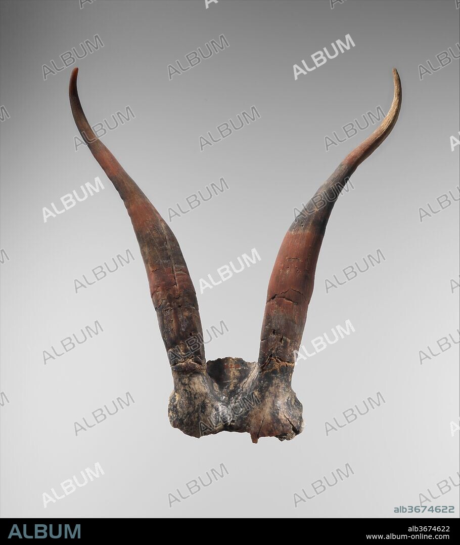 Bucrania skulls with antlers. Dimensions: w. of antlers 21.4 cm. (8 7/8 in). Dynasty: Dynasty 14-17. Date: ca. 1640-1550 B.C..