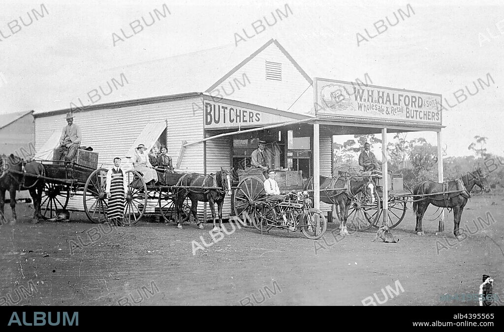 Negative - Ora Banda, Western Australia, 1916, Delivery carts outside W.H. Halford butchers.