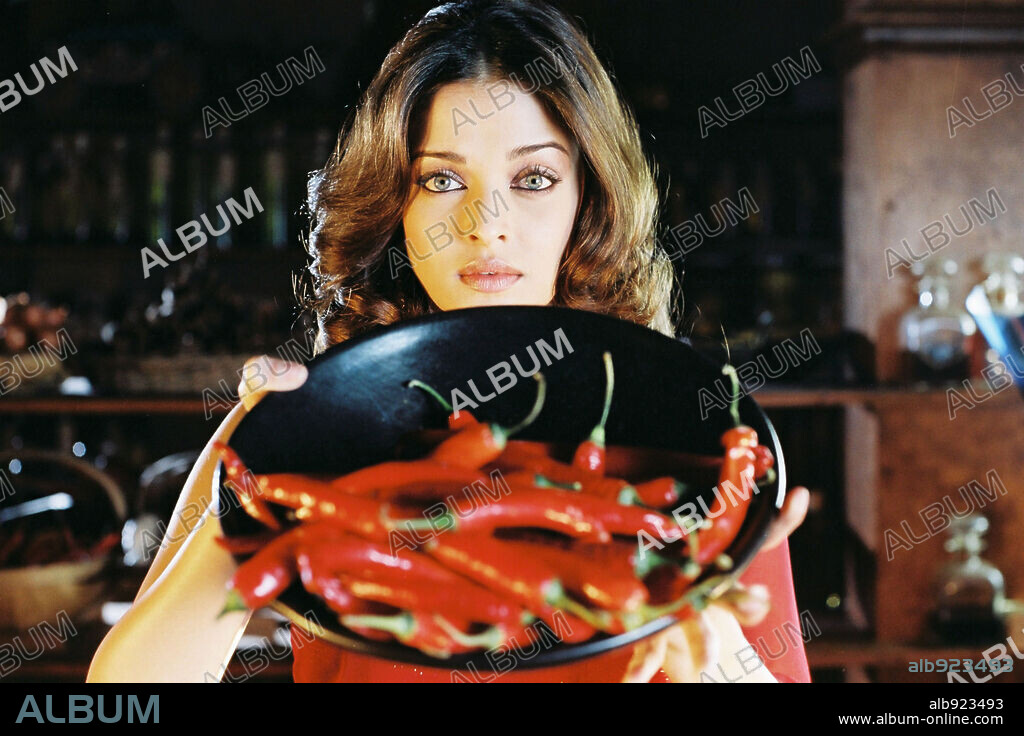 AISHWARYA RAI in MISTRESS OF SPICES, 2005, directed by PAUL MAYEDA BERGES. Copyright BALLE PICTURES/CAPITOL FILMS/INGENIOUS FILM PARTHNERS.