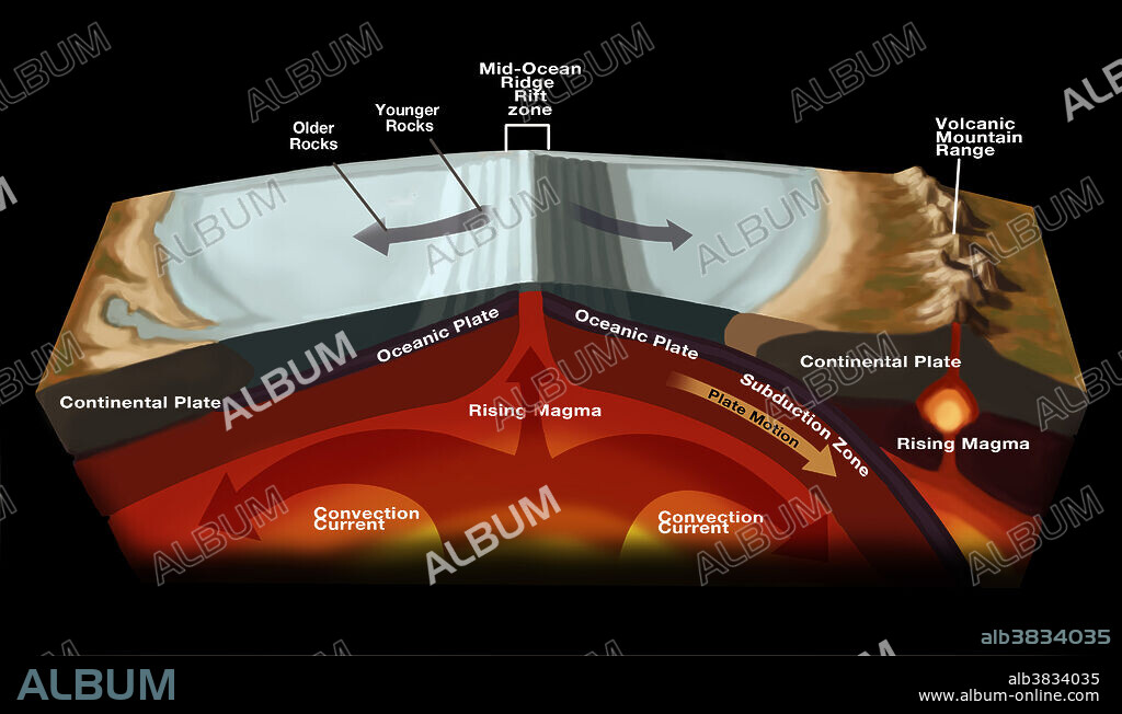 Diagram illustrating divergent plate boundaries creating larger ocean divide (at middle), and convergent plate boundaries resulting in volcanic lands (at right). The mid-ocean ridges (at middle) are one of the three basic types of plate boundaries. As shown here they are divergent and are spreading. They spread from forces, produced by mantle convection and gravity, that pull the oceanic lithosphere in opposite directions (shown by dark blue arrows). As the plates are pulled apart, magma is extruded from the mantle to fill in the void. At right, plates are converging; crust is destroyed and recycled back into the interior of the Earth creating a volcanic arc as one plate dives under another.