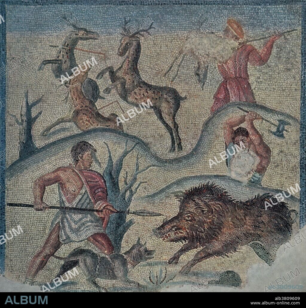 The Ancient Romans left behind representations of boar hunting in both literature and art. Hunting became popular among young Romans starting from the second century BC. Hunting was seen as a way of fortifying character and exercising physical vigor. The boar was known as aper, feri sues or singularis on account of the animals supposedly solitary habits.