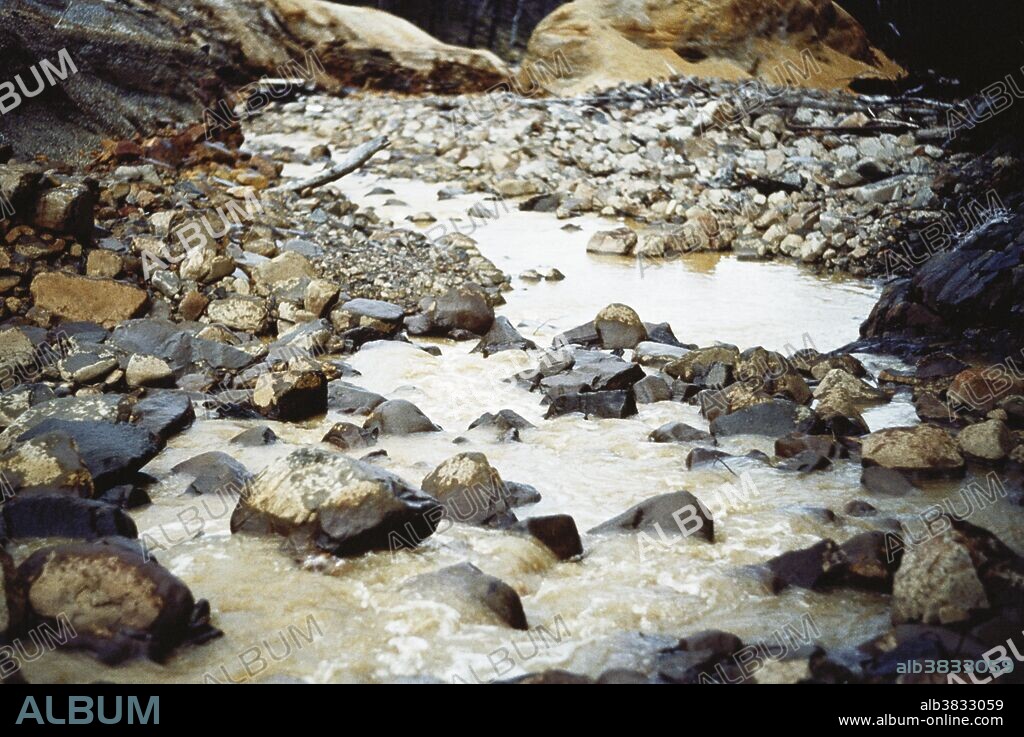 Heavy metal pollution from zinc and silver mines in Storey's Creek, Tasmania, Australia.