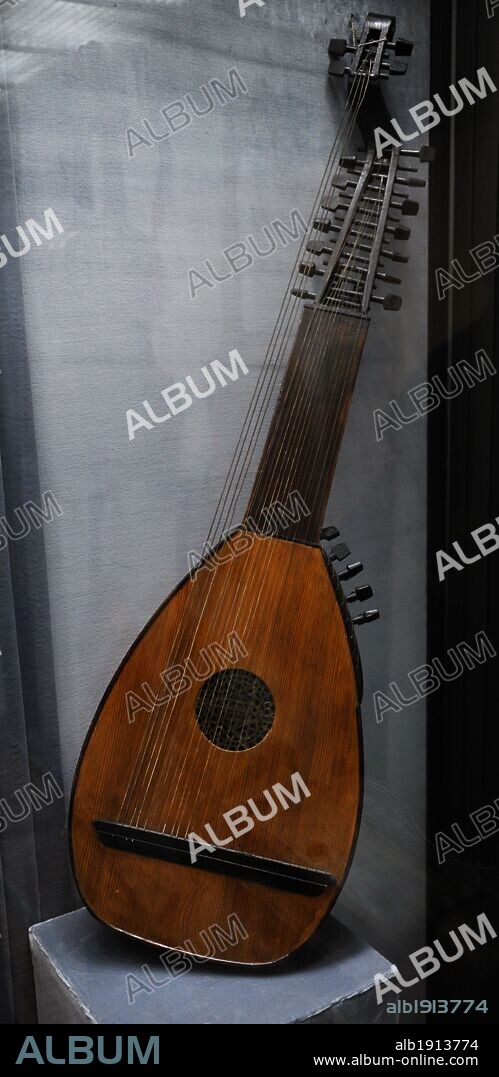 Lute instrument online family