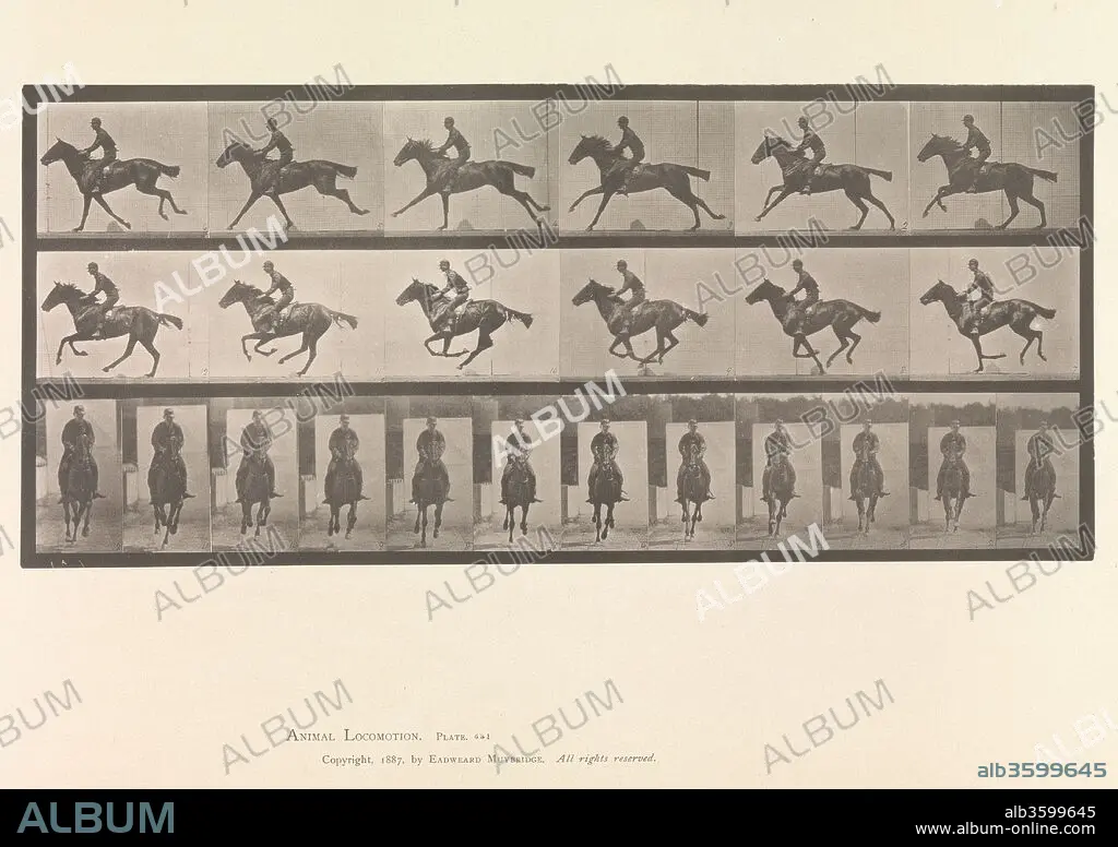 EADWEARD MUYBRIDGE. [Horse and Rider Galloping] - Album alb3599645