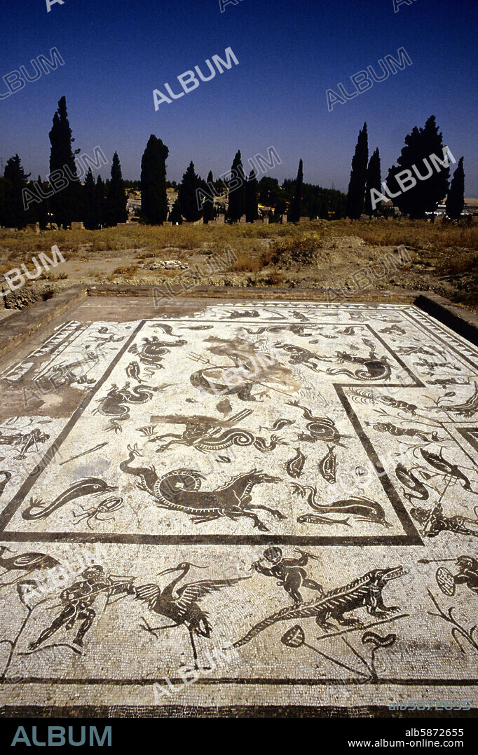 ruinas de Itálica; mosaico romano / suelo de antigua vivienda noble ...