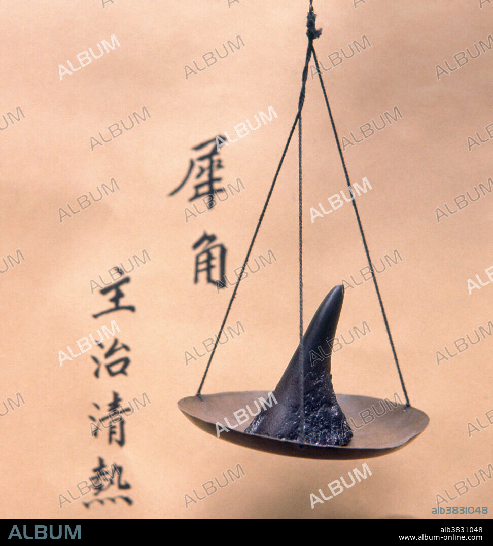 Rhinoceros Horn in Hong Kong Pharmacy Album alb3831048