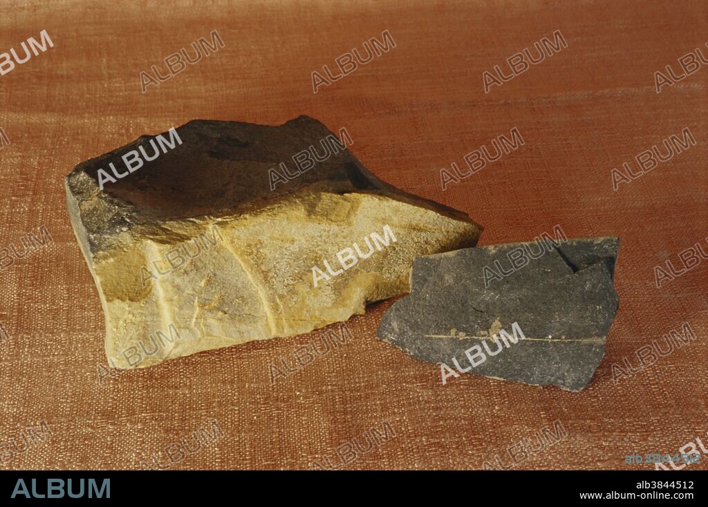 Calcareous shale, a clastic sedimentary rock containing clay with varying amounts of feldspar, quartz and mica.