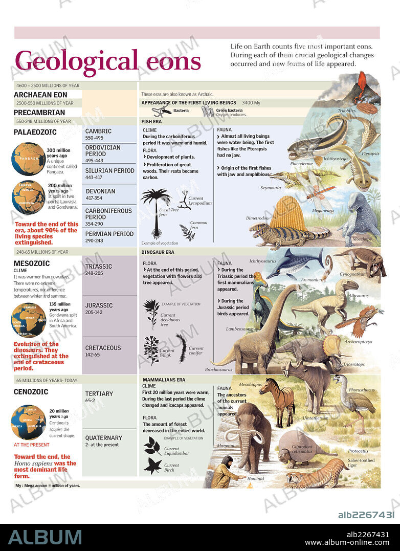 Geological eons. Description of the geological ages of the Earth with the climate, flora and fauna of each one.