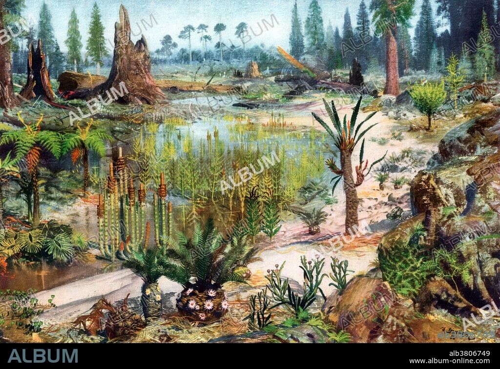 Mesozoic Landscape - Album alb3806749