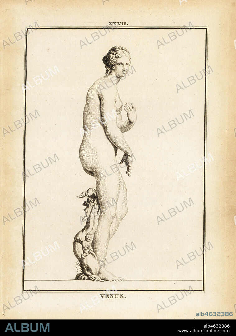 Statue of Venus, Roman goddess of love, beauty, sex and fertility.  Copperplate engraving by Francois-Anne David from Museum de Florence, ou  Collection des Pierres Gravees, - Album alb4632386