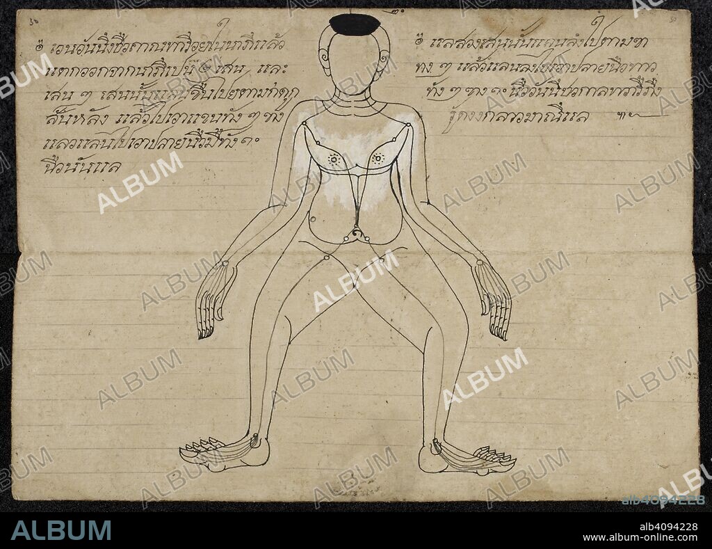 Thai medical diagram showing the pressure points on a Human body. Massage  treatise. Thailand, 1800 - 1850. Paper folding book (samut khoi).  Dimensions: 355 mm x 127 mm. Sc - Album alb4094228