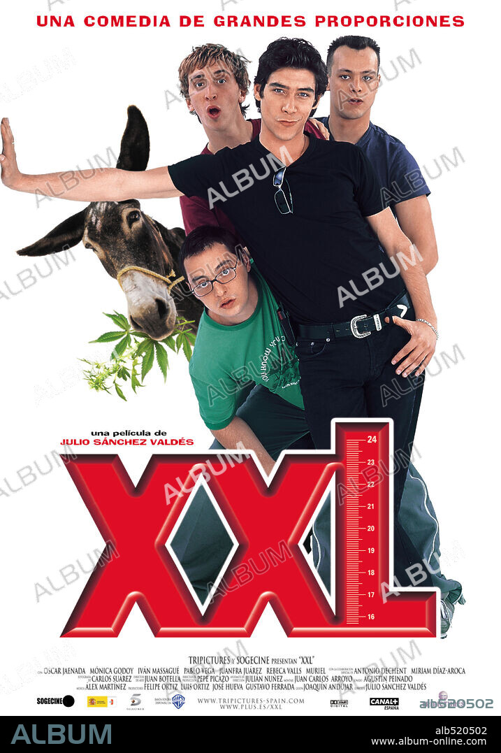 Buy XXL Posters Online