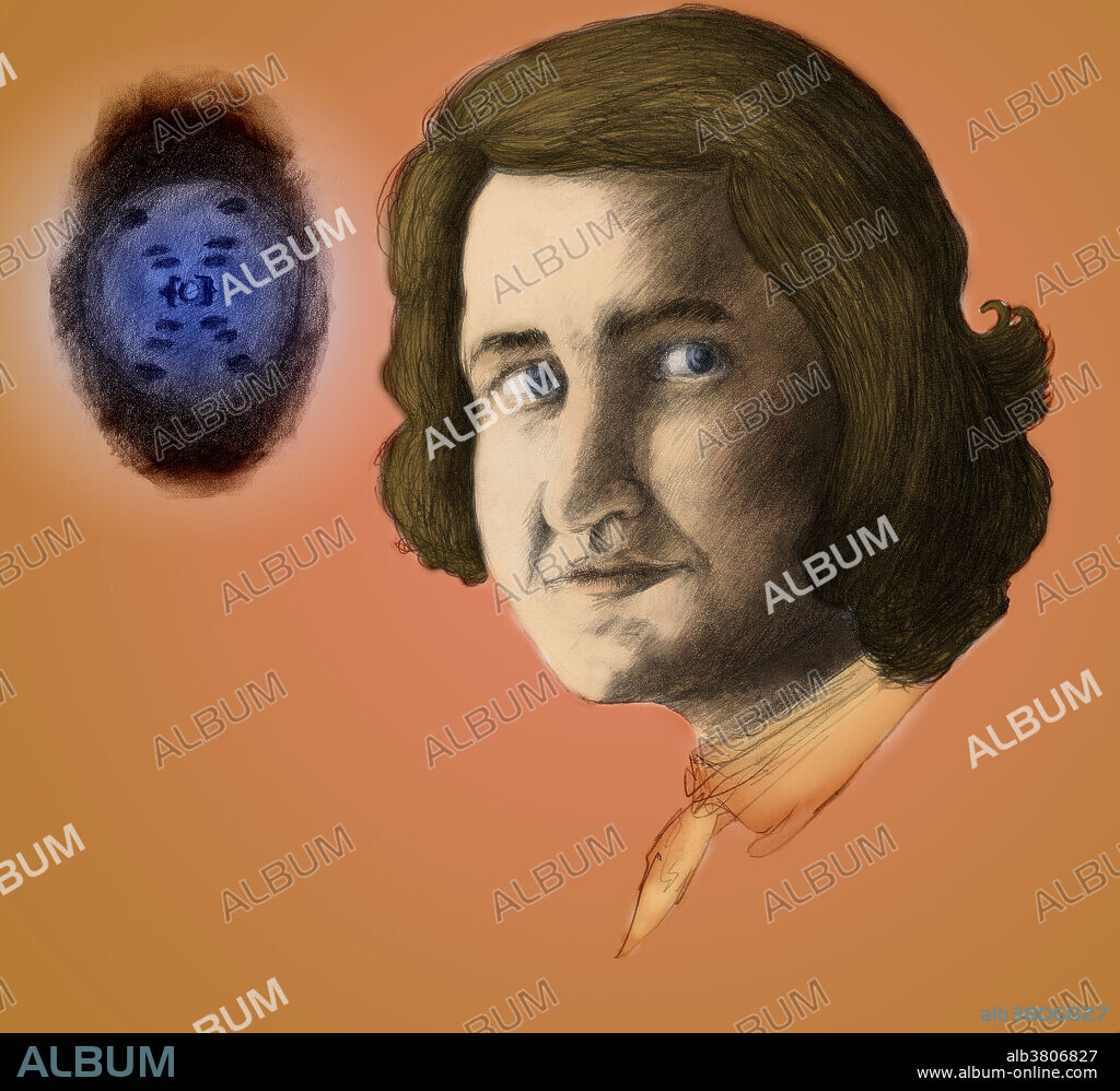 Rosalind Franklin. Illustration of Rosalind Franklin (1920-58), British X-ray crystallographer. Her work producing X-ray images of DNA (Deoxyribonucleic acid) was crucial in the discovery of the structure of DNA by James Watson and Francis Crick. Franklin graduated from Cambridge in 1942, and conducted research in the UK and Paris until 1950. She returned to King's College, London, to work on the structure of DNA using X-ray crystallography. Her X-ray images of DNA crystals were of the highest quality, and recognized a number of elements of the structure of DNA. These images were crucial to Watson and Crick finalizing the structure of DNA. Watson, Crick and Maurice Wilkins (Franklin's colleague at King's College) won the Nobel Prize in 1962 for the.