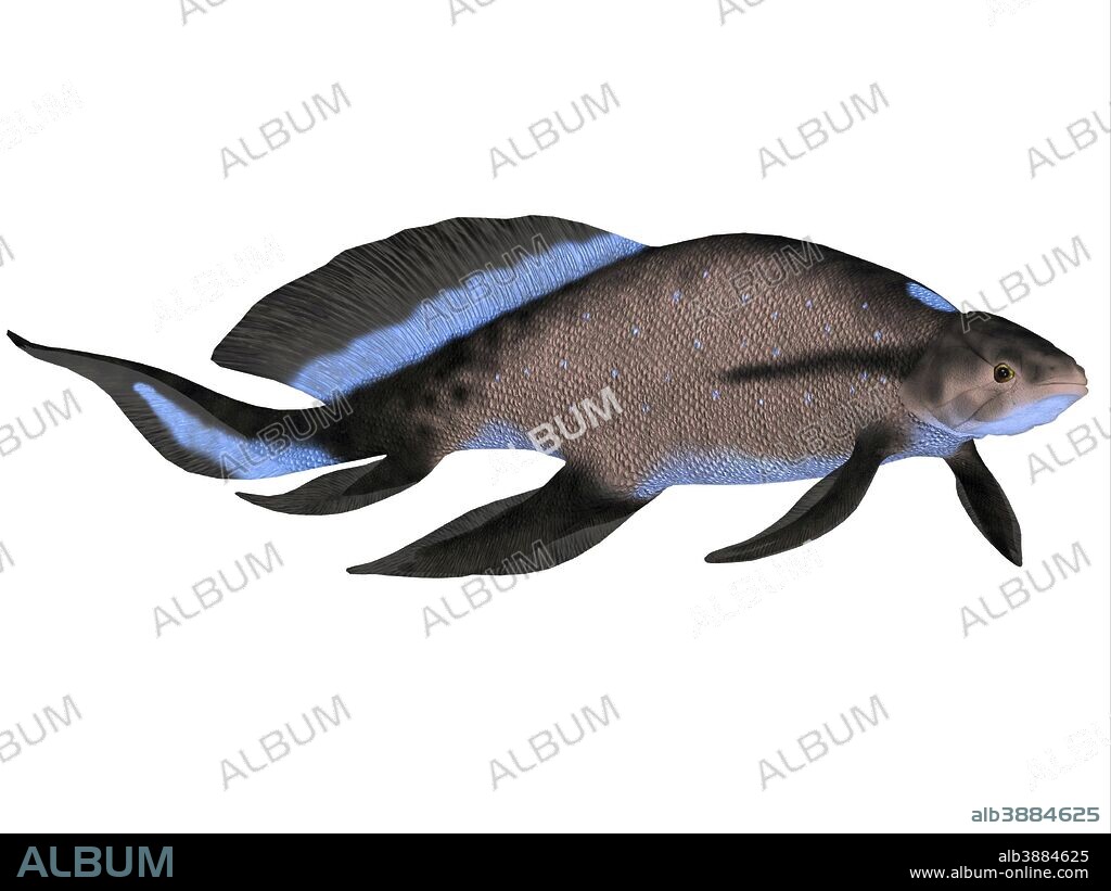 Scaumenacia is an extinct genus of prehistoric lobe-finned fish from the Devonian Period.