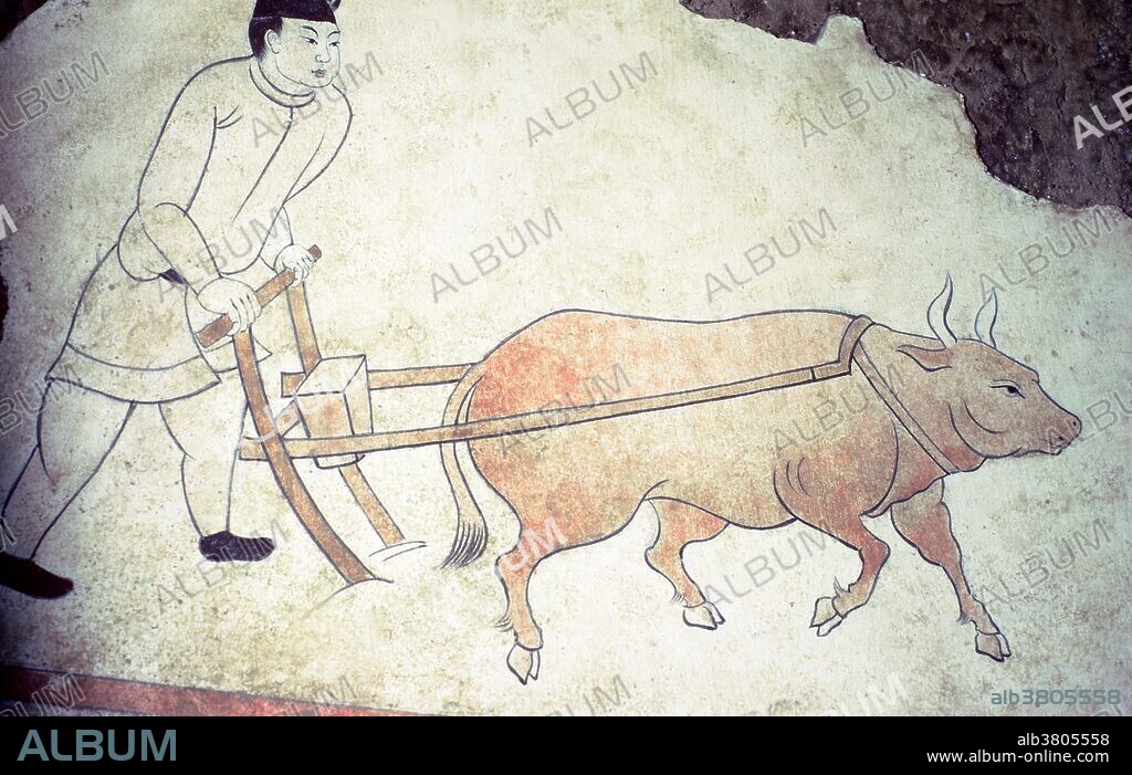 Painted plaster from the Han dynasty (206 BCE to 220 CE), showing a man ploughing with a bull. It is now in Xian Museum, China.