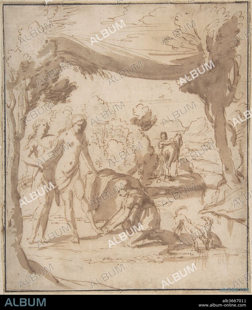 DIT L'ALBANE FRANCESCO ALBANI. Diana Bathing. Artist: Francesco Albani (Italian, Bologna 1578-1660 Bologna). Dimensions: 8 x 6 7/8in. (20.3 x 17.5cm). Date: 1578-1660.
This drawing was reproduced in reverse by the French engraver Bernard Picart (1673-1733) as the work of Domenichino when it figured in his 1734 book of reproductive prints from the "cabinet de Mr. Uilenbroek." At Chatsworth there is a related drawing, also traditionally attributed to Domenichino, in which the nude Diana is represented seated (inv. 507). The Chatsworth drawing comes from the Dutch collection of Nicolaes Anthoni Flink (1646-172; Lugt 959), and thus, like our drawing, it was in Amsterdam in the early eighteenth century. Both these drawings would seem to be the work of Albani, an attribution strongly endorsed by Ann Sutherland Harris (see Sutherland Harris 1969 and 1996). The rather dry pen work and the somewhat mannered elongation of the figures are paralleled in a 'Death of Adonis' in the British Museum, London, a drawing traditionally attributed to Albani (inv. 1895,0915.697). Old copies of the Metropolitan Museum and the Chatsworth drawings are preserved in the Musée du Louvre (Départment des Arts Graphiques, inv. 12,106 and 12,107, both as Albani).