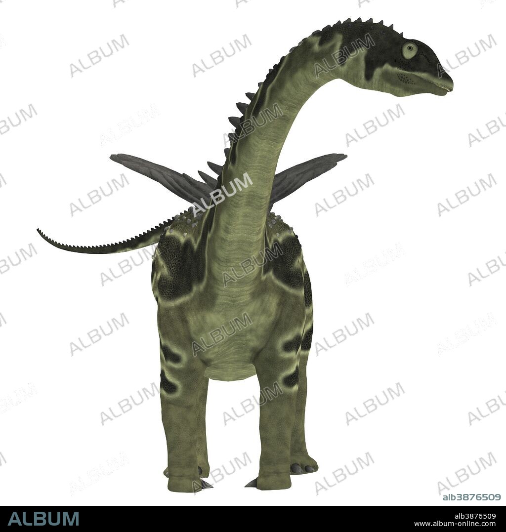 Front view of an Agustinia dinosaur. Agustinia was a herbivorous sauropod dinosaur that lived in South America during the Cretaceous Period.