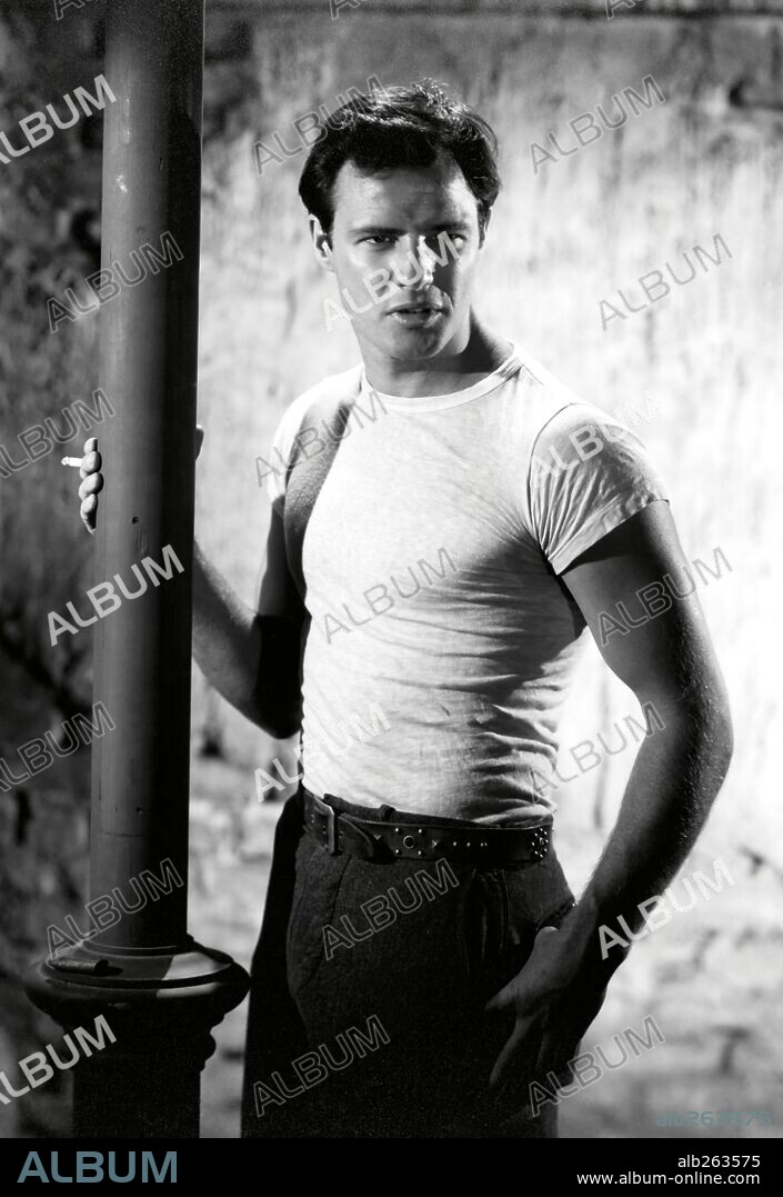 MARLON BRANDO dans A STREETCAR NAMED DESIRE, 1951, réalisé par ELIA KAZAN. Copyright WARNER BROTHERS.