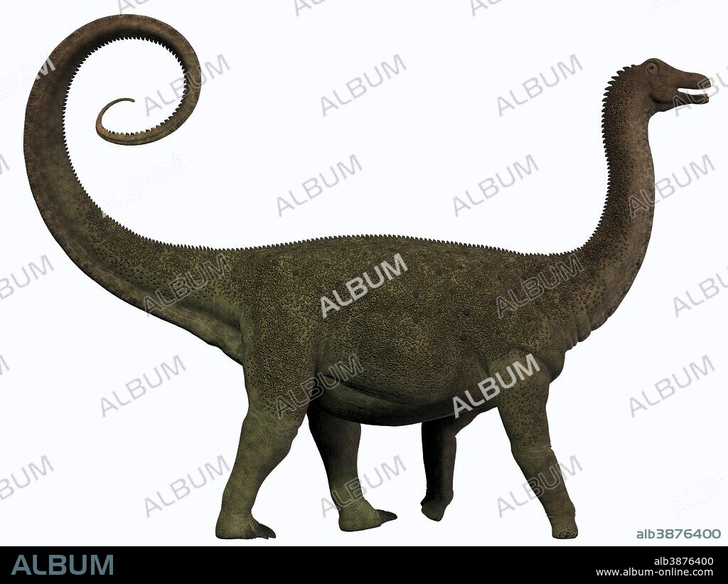 Saltasaurus was a sauropod dinosaur of the Cretaceous Period of Argentina.