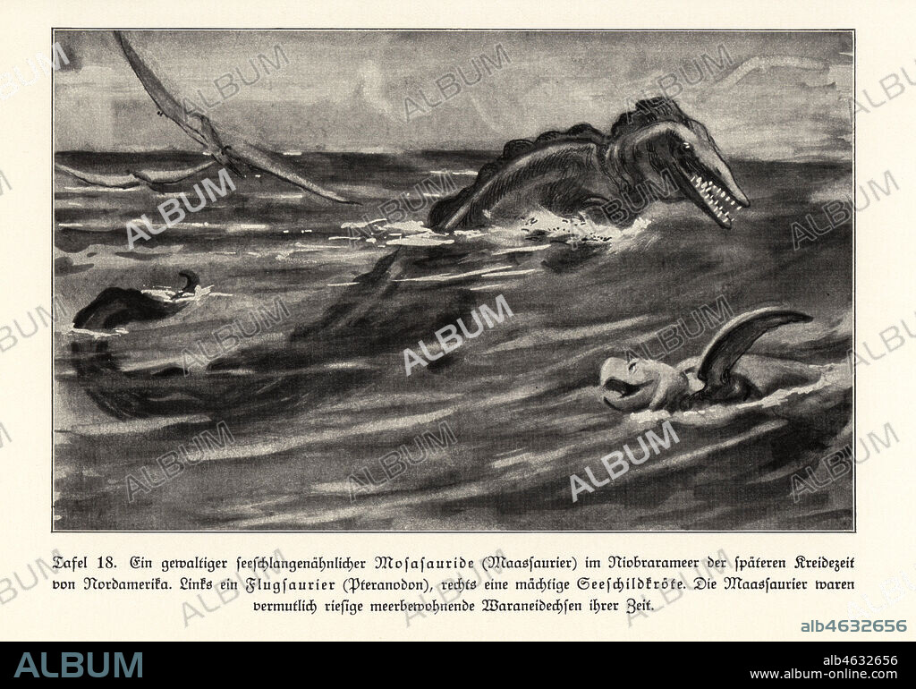 An extinct seasnake-like Mosasaur in the Niobrara sea, North America, late Cretaceous. A pterosaur, Pteranodon, at left, and sea turtle at right. Mosasaurs were probably giant sea monitor lizards of their time. Illustration from Wilhelm Bolsches Das Leben der Urwelt, Prehistoric Life, Georg Dollheimer, Leipzig, 1932.